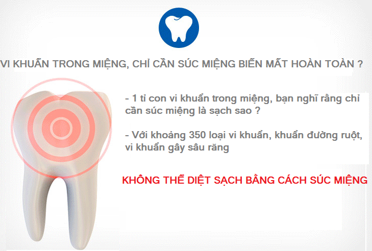 Dụng cụ khử trùng bàn chải CLB-3000