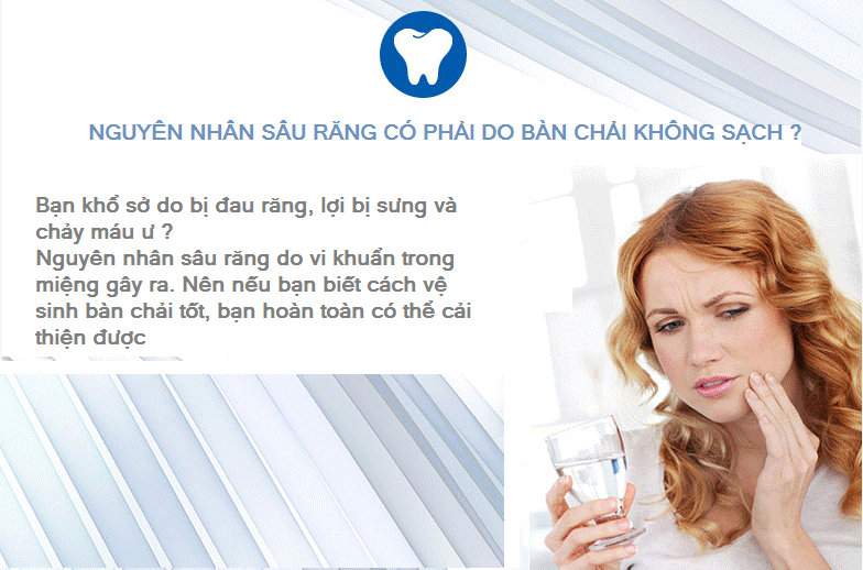 Dụng cụ khử trùng bàn chải CLB-3000