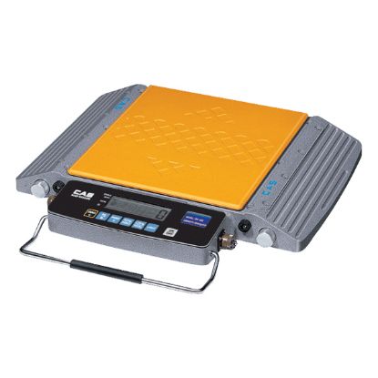 Cân xe tải xách tay RW-S/L