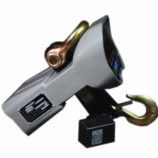 Ảnh của CÂN TREO ĐIỆN TỬ CAS CASTON I - THZ