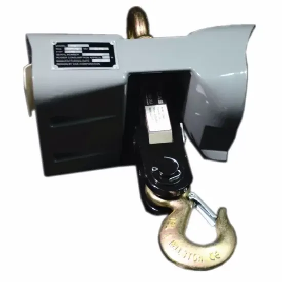Ảnh của CÂN TREO ĐIỆN TỬ CAS CASTON I - THZ