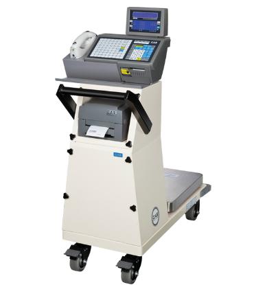 Ảnh của Cân xe đẩy CAS CL5500-CART